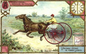 Sulky de course - European School